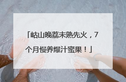 岵山晚荔未熟先火，7个月慢养爆汁蜜果！