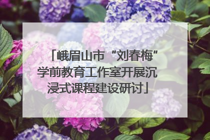 峨眉山市“刘春梅”学前教育工作室开展沉浸式课程建设研讨