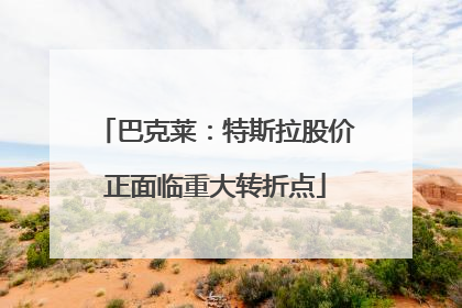 巴克莱：特斯拉股价正面临重大转折点