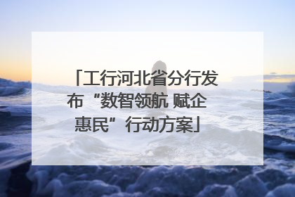 工行河北省分行发布“数智领航 赋企惠民”行动方案