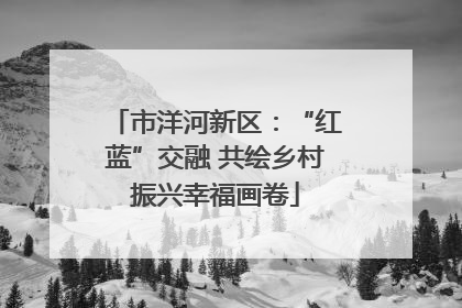 市洋河新区：“红蓝”交融 共绘乡村振兴幸福画卷