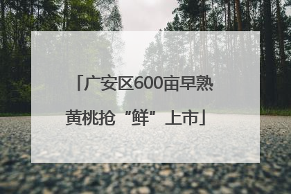 广安区600亩早熟黄桃抢“鲜”上市
