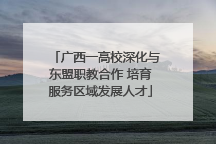 广西一高校深化与东盟职教合作 培育服务区域发展人才