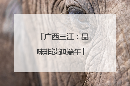 广西三江：品味非遗迎端午