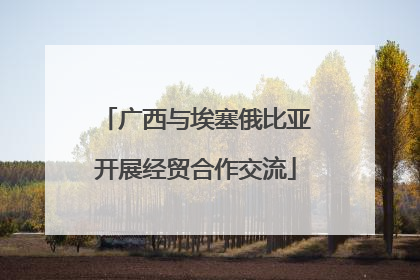 广西与埃塞俄比亚开展经贸合作交流