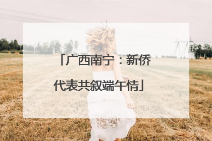 广西南宁：新侨代表共叙端午情