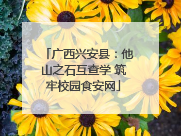 广西兴安县：他山之石互查学 筑牢校园食安网