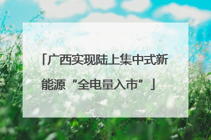 广西实现陆上集中式新能源“全电量入市”