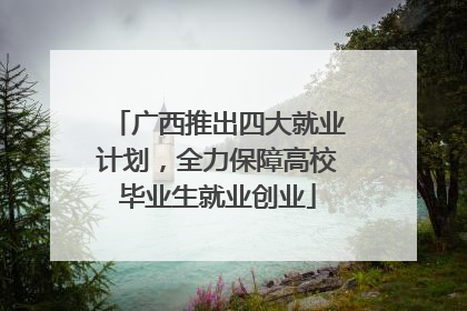 广西推出四大就业计划，全力保障高校毕业生就业创业