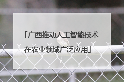 广西推动人工智能技术在农业领域广泛应用