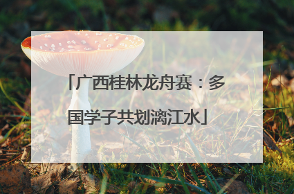 广西桂林龙舟赛：多国学子共划漓江水