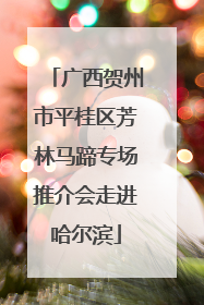 广西贺州市平桂区芳林马蹄专场推介会走进哈尔滨