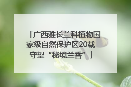广西雅长兰科植物国家级自然保护区20载守望“秘境兰香”