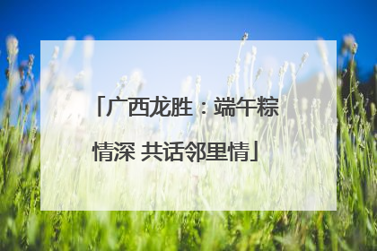 广西龙胜：端午粽情深 共话邻里情
