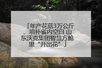 年产花菇3万公斤、填补省内空白 山东沃克集团智慧方舱里“开出花”