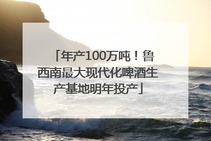 年产100万吨！鲁西南最大现代化啤酒生产基地明年投产