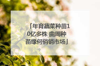 年育蔬菜种苗10亿多株 曲周种苗缘何俏销市场