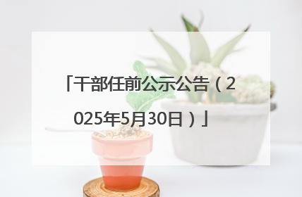 干部任前公示公告（2025年5月30日）