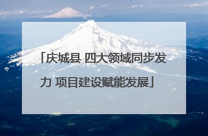 庆城县 四大领域同步发力 项目建设赋能发展