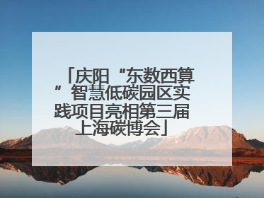 庆阳“东数西算”智慧低碳园区实践项目亮相第三届上海碳博会