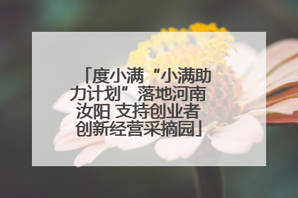 度小满“小满助力计划”落地河南汝阳 支持创业者创新经营采摘园