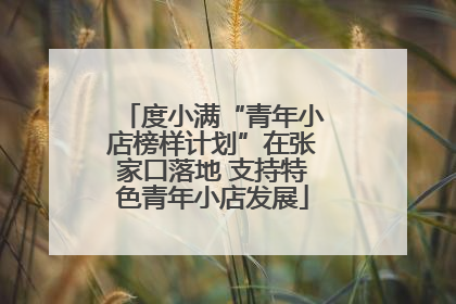 度小满“青年小店榜样计划”在张家口落地 支持特色青年小店发展