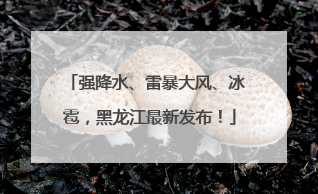 强降水、雷暴大风、冰雹，黑龙江最新发布！