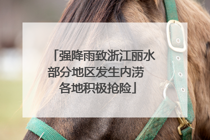 强降雨致浙江丽水部分地区发生内涝 各地积极抢险