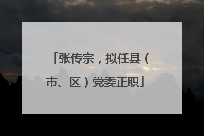 张传宗，拟任县（市、区）党委正职