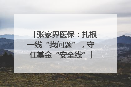 张家界医保：扎根一线“找问题”，守住基金“安全线”