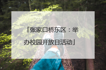 张家口桥东区：举办校园开放日活动