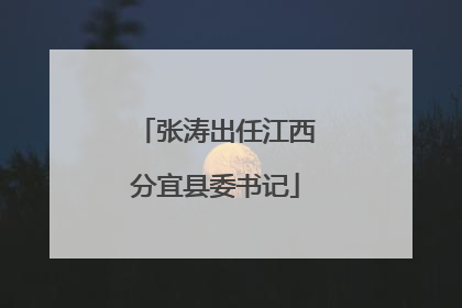 张涛出任江西分宜县委书记