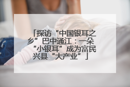 探访“中国银耳之乡”巴中通江：一朵“小银耳”成为富民兴县“大产业”