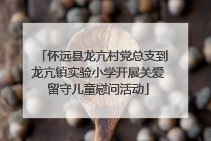 怀远县龙亢村党总支到龙亢镇实验小学开展关爱留守儿童慰问活动