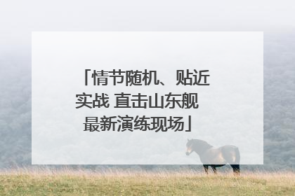 情节随机、贴近实战 直击山东舰最新演练现场