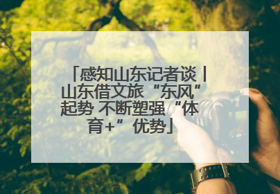 感知山东记者谈丨山东借文旅“东风”起势 不断塑强“体育+”优势