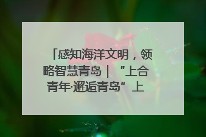 感知海洋文明，领略智慧青岛｜“上合青年·邂逅青岛”上合组织国家青少年践学活动在青岛开营