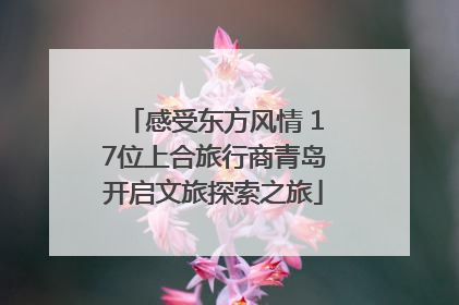 感受东方风情 17位上合旅行商青岛开启文旅探索之旅