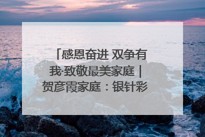 感恩奋进 双争有我·致敬最美家庭｜贺彦霞家庭：银针彩线绣出好日子