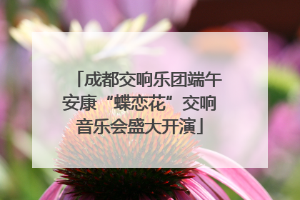 成都交响乐团端午安康“蝶恋花”交响音乐会盛大开演