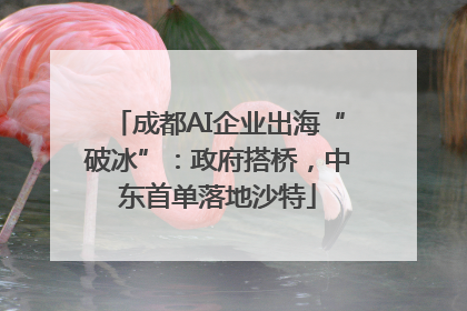 成都AI企业出海“破冰”：政府搭桥，中东首单落地沙特