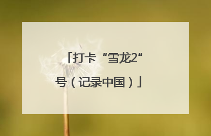 打卡“雪龙2”号（记录中国）