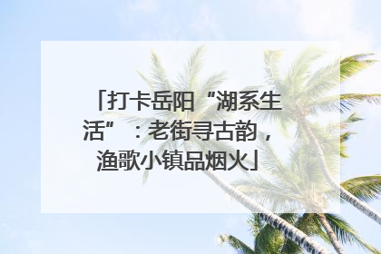 打卡岳阳“湖系生活”：老街寻古韵，渔歌小镇品烟火