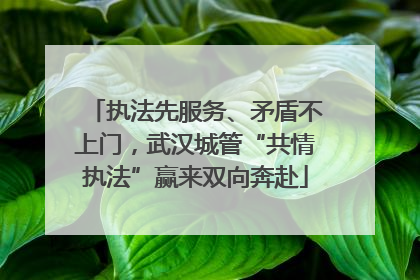 执法先服务、矛盾不上门，武汉城管“共情执法”赢来双向奔赴