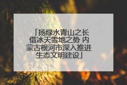 扬绿水青山之长 借冰天雪地之势 内蒙古根河市深入推进生态文明建设