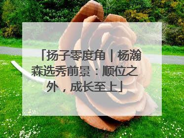 扬子零度角｜杨瀚森选秀前景：顺位之外，成长至上