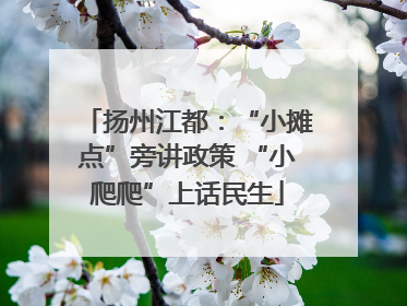 扬州江都：“小摊点”旁讲政策 “小爬爬”上话民生