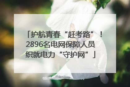 护航青春“赶考路”！2896名电网保障人员织就电力“守护网”