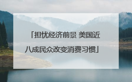 担忧经济前景 美国近八成民众改变消费习惯