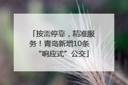 按需停靠，精准服务！青岛新增10条“响应式”公交